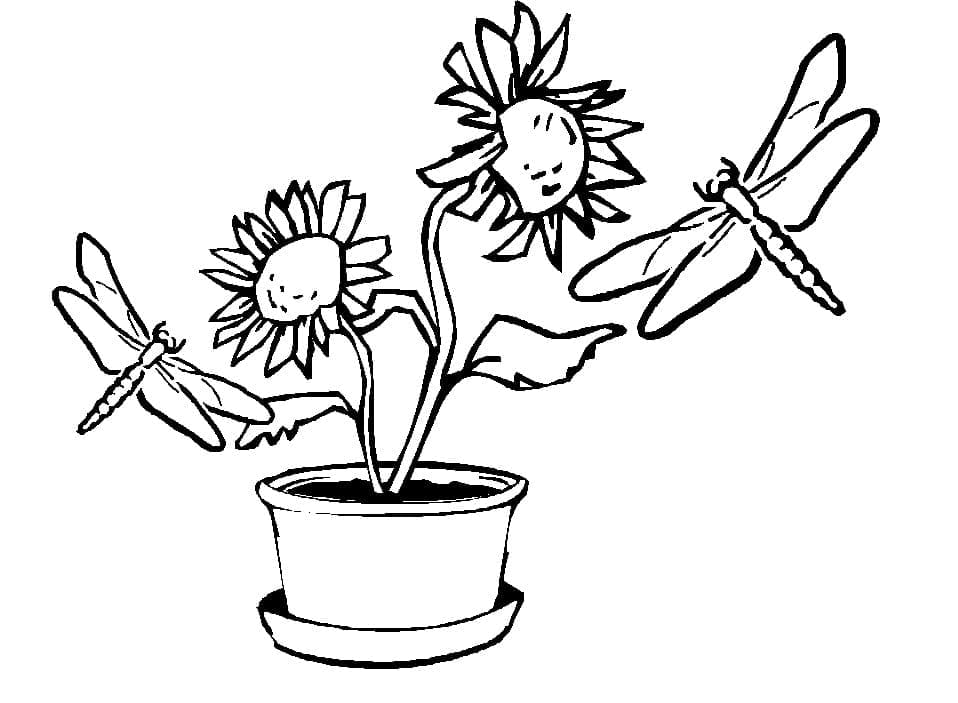 Free printable Dragonfly coloring page #196573 from Animals collection