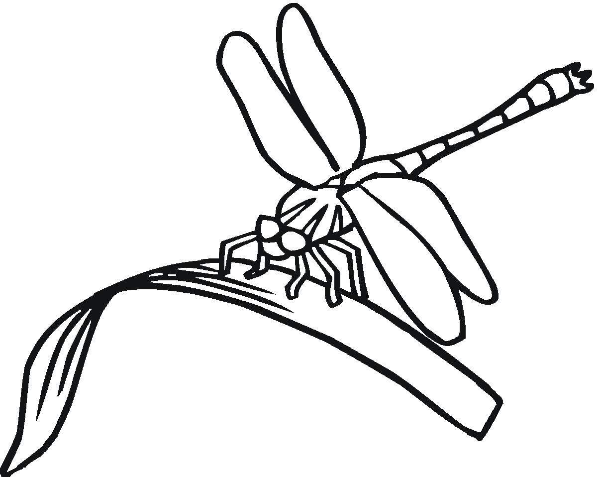 Coloring page: Dragonfly (Animals) #9888 - Free Printable Coloring Pages