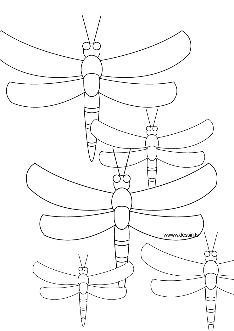 Coloring page: Dragonfly (Animals) #9903 - Free Printable Coloring Pages