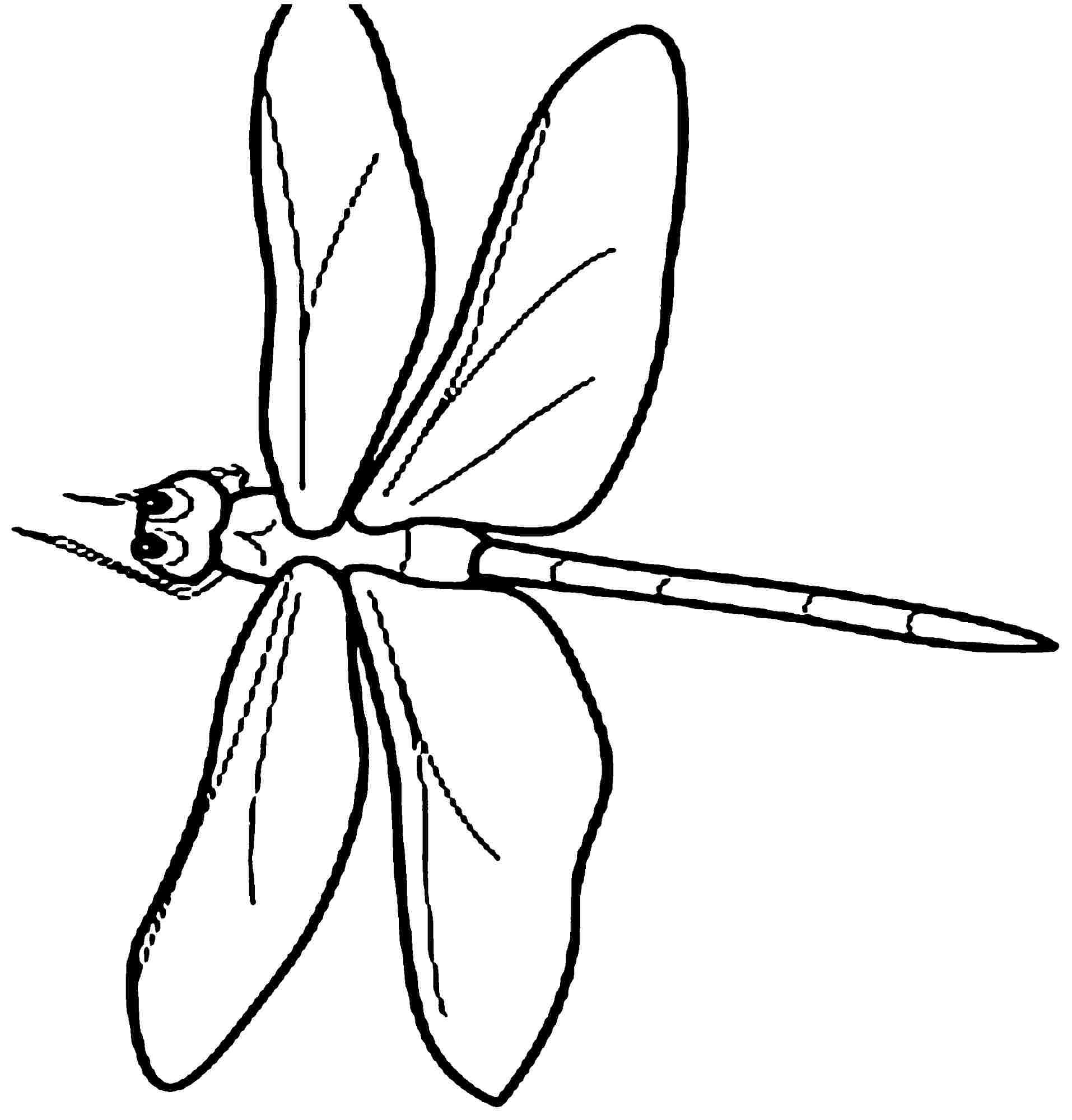 Coloring page: Dragonfly (Animals) #9915 - Free Printable Coloring Pages