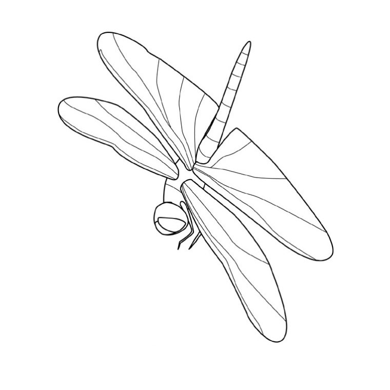 Coloring page: Dragonfly (Animals) #9916 - Free Printable Coloring Pages
