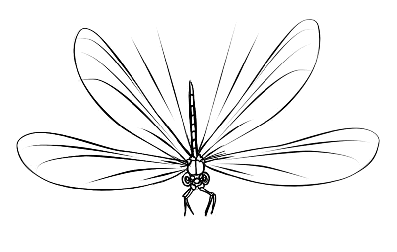 Coloring page: Dragonfly (Animals) #9931 - Free Printable Coloring Pages