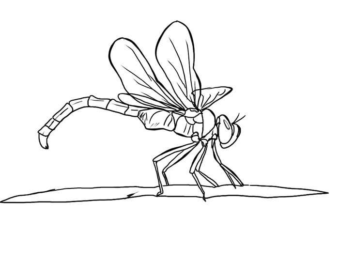 Coloring page: Dragonfly (Animals) #9934 - Free Printable Coloring Pages