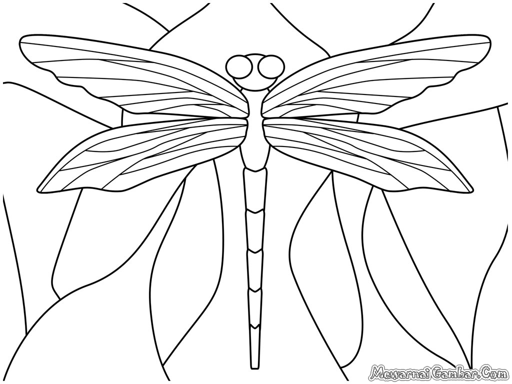 Coloring page: Dragonfly (Animals) #9944 - Free Printable Coloring Pages