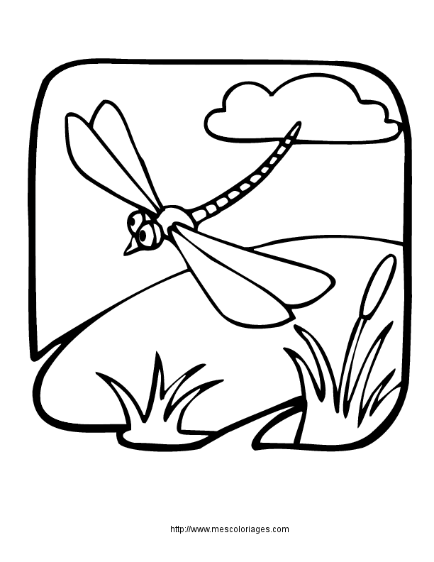 Coloring page: Dragonfly (Animals) #9950 - Free Printable Coloring Pages