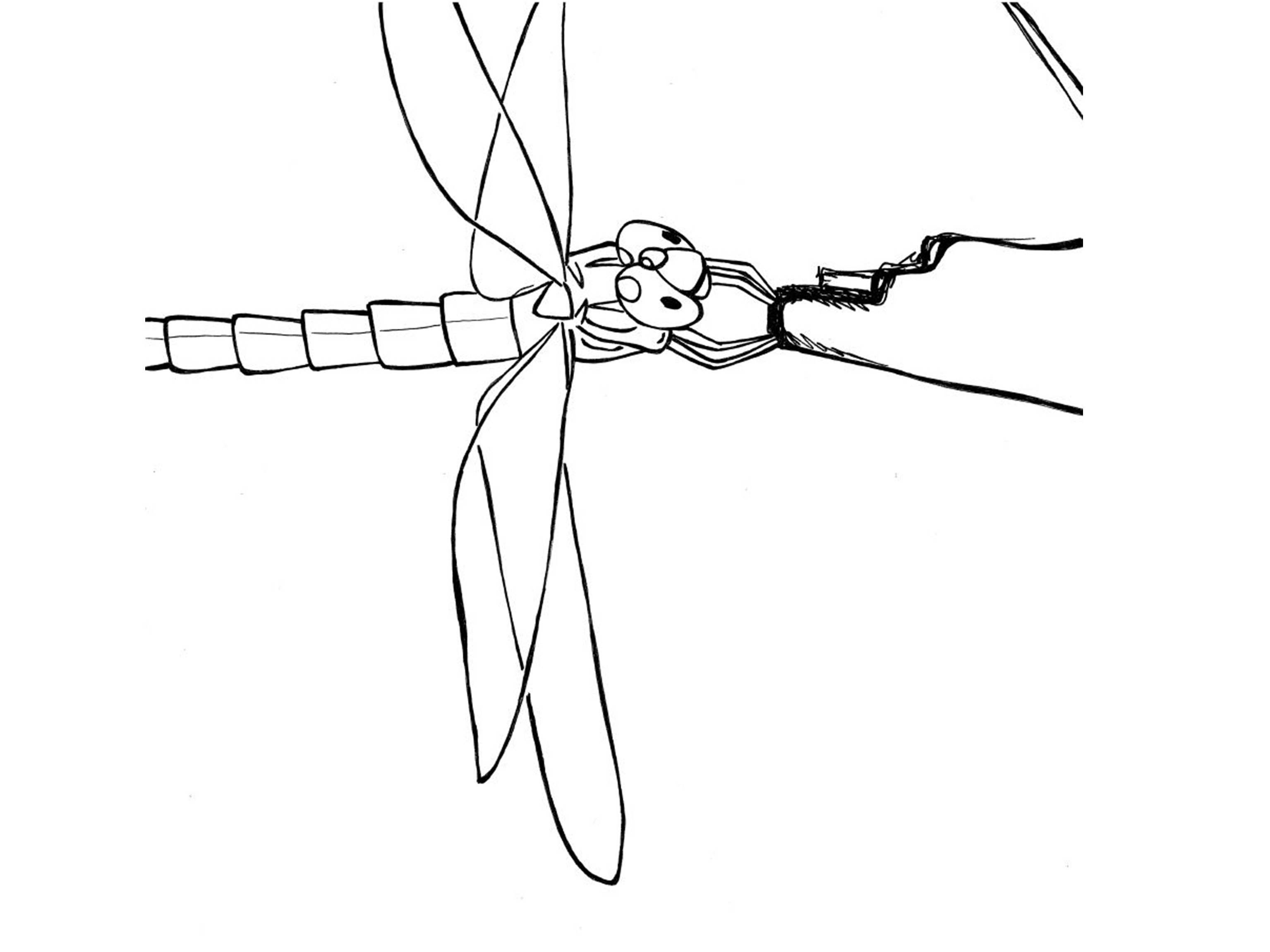Coloring page: Dragonfly (Animals) #9963 - Free Printable Coloring Pages
