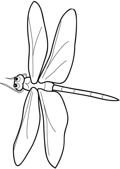 Coloring page: Dragonfly (Animals) #9964 - Free Printable Coloring Pages