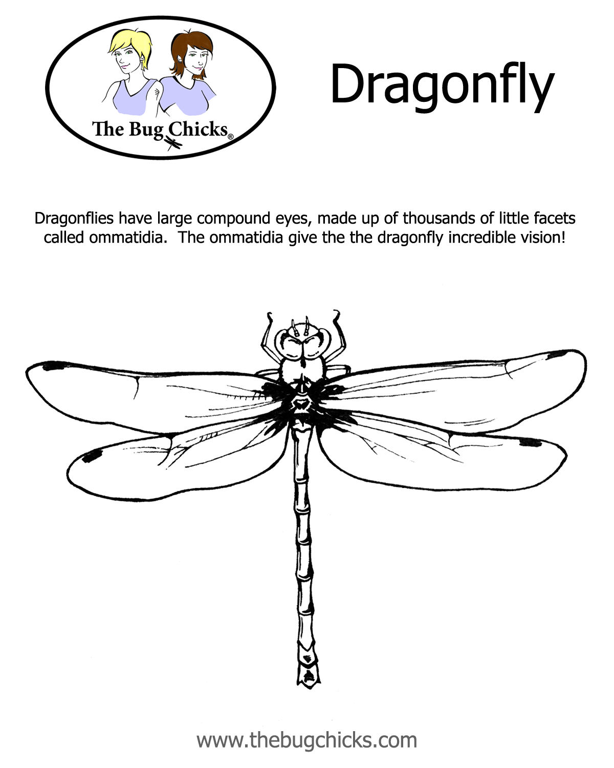 Coloring page: Dragonfly (Animals) #9970 - Free Printable Coloring Pages