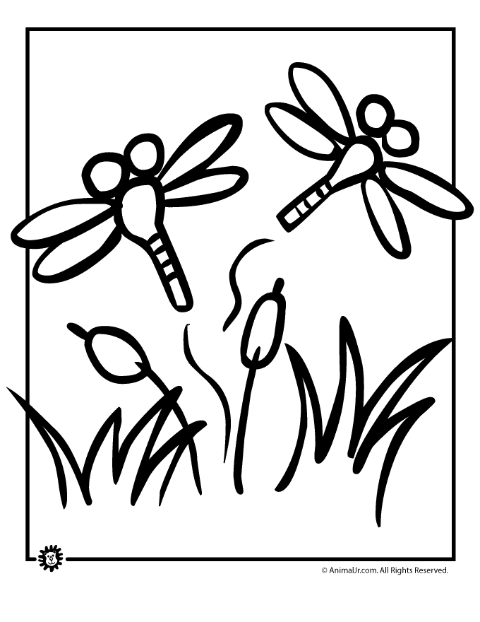Coloring page: Dragonfly (Animals) #9988 - Free Printable Coloring Pages