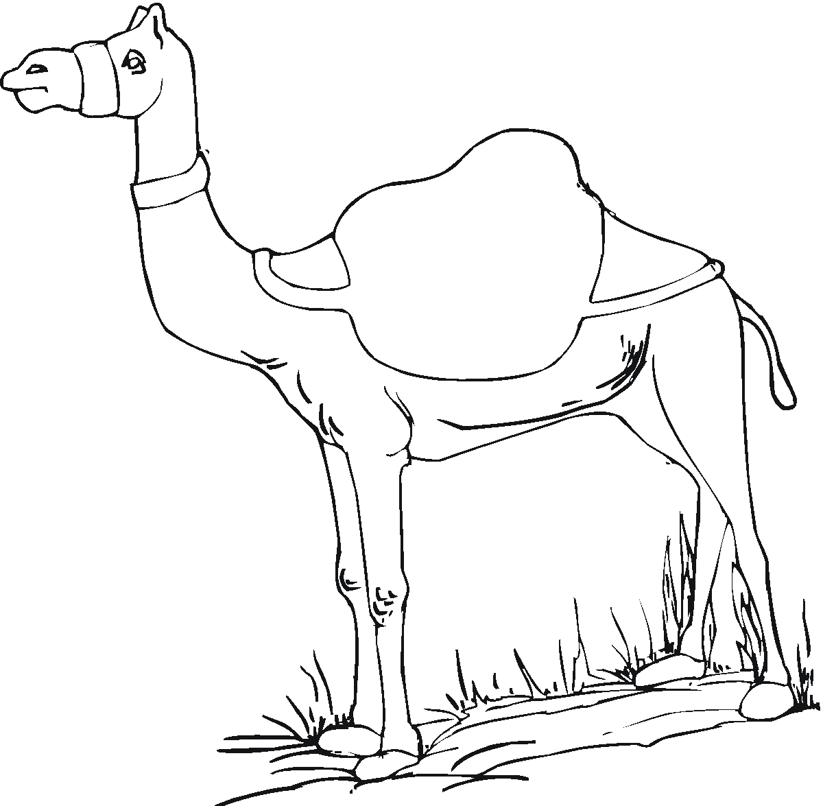 Coloring page: Dromedary (Animals) #5914 - Free Printable Coloring Pages