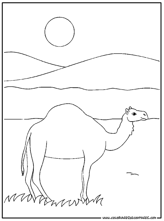 Coloring page: Dromedary (Animals) #5931 - Free Printable Coloring Pages