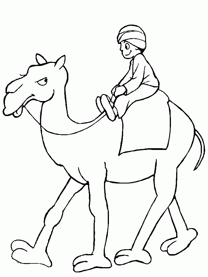 Coloring page: Dromedary (Animals) #5943 - Free Printable Coloring Pages
