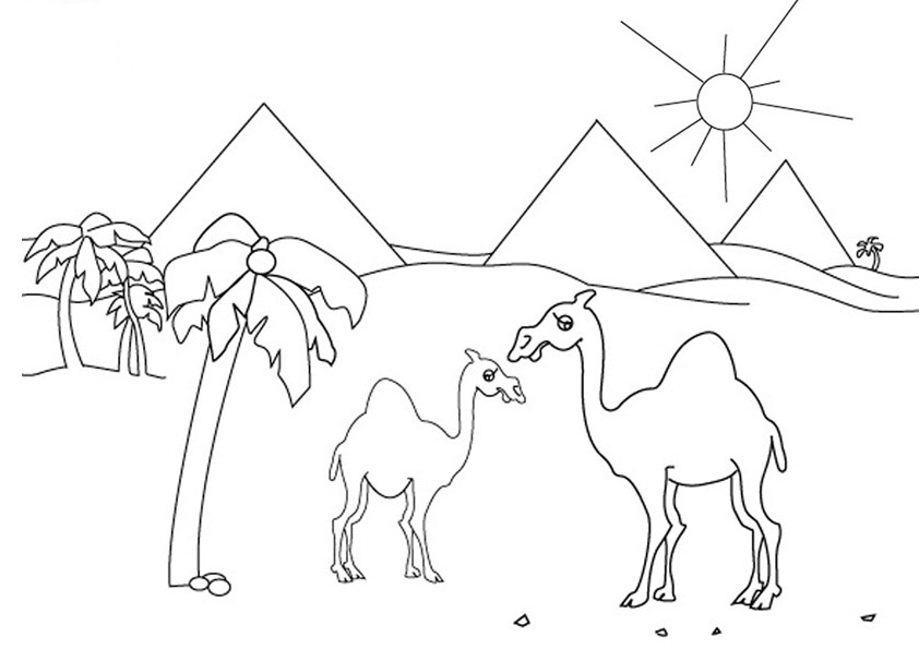 Coloring page: Dromedary (Animals) #5950 - Free Printable Coloring Pages