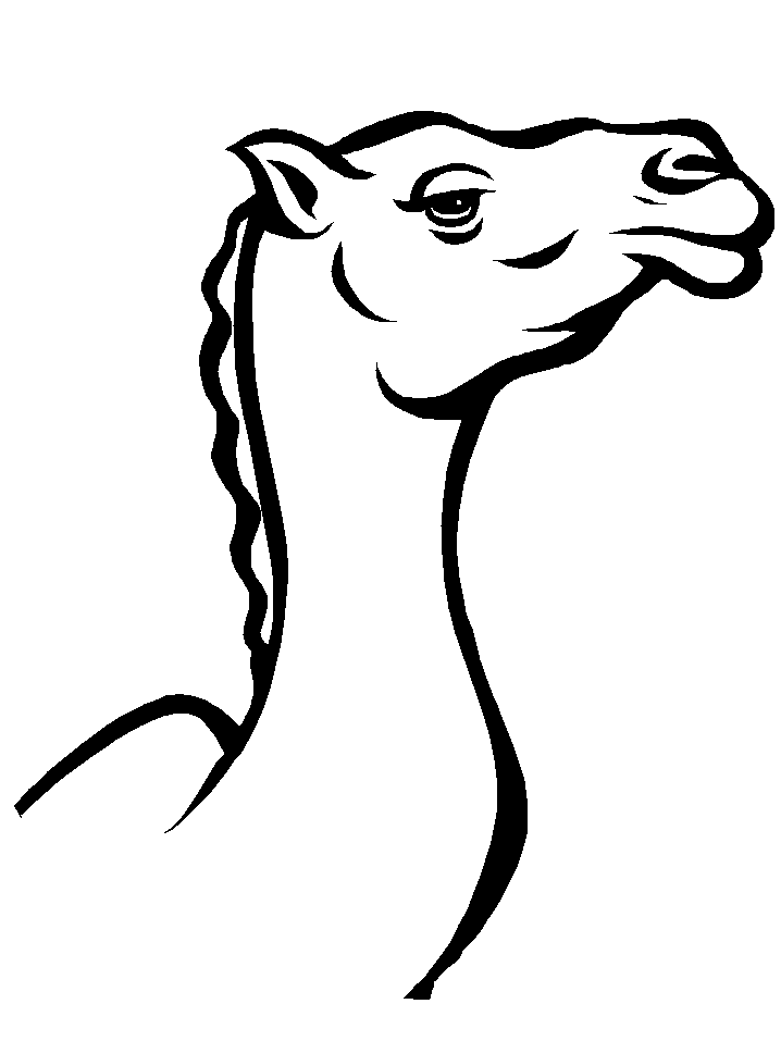 Coloring page: Dromedary (Animals) #5955 - Free Printable Coloring Pages
