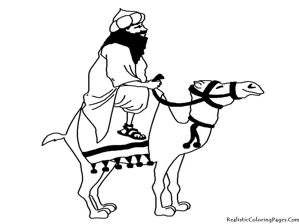 Coloring page: Dromedary (Animals) #5967 - Free Printable Coloring Pages