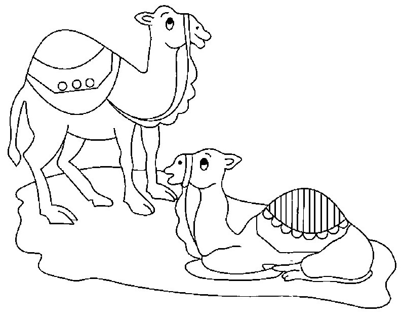 Coloring page: Dromedary (Animals) #5977 - Free Printable Coloring Pages