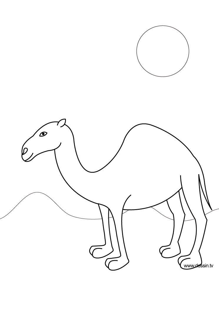 Coloring page: Dromedary (Animals) #5985 - Free Printable Coloring Pages