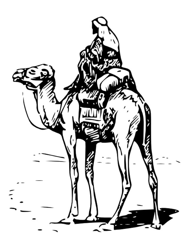 Coloring page: Dromedary (Animals) #5988 - Free Printable Coloring Pages