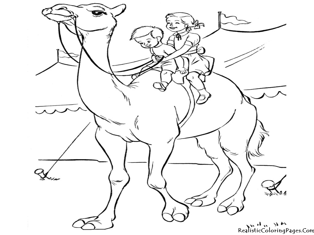 Coloring page: Dromedary (Animals) #5994 - Free Printable Coloring Pages