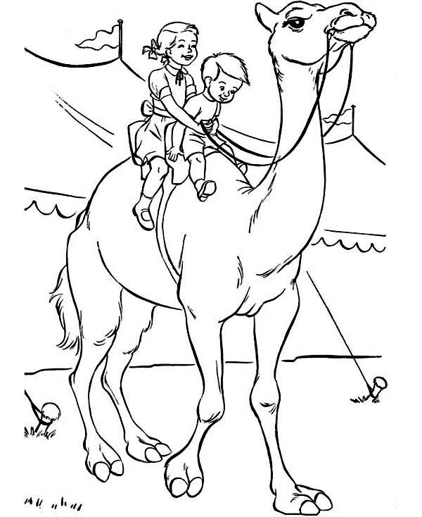 Coloring page: Dromedary (Animals) #6005 - Free Printable Coloring Pages