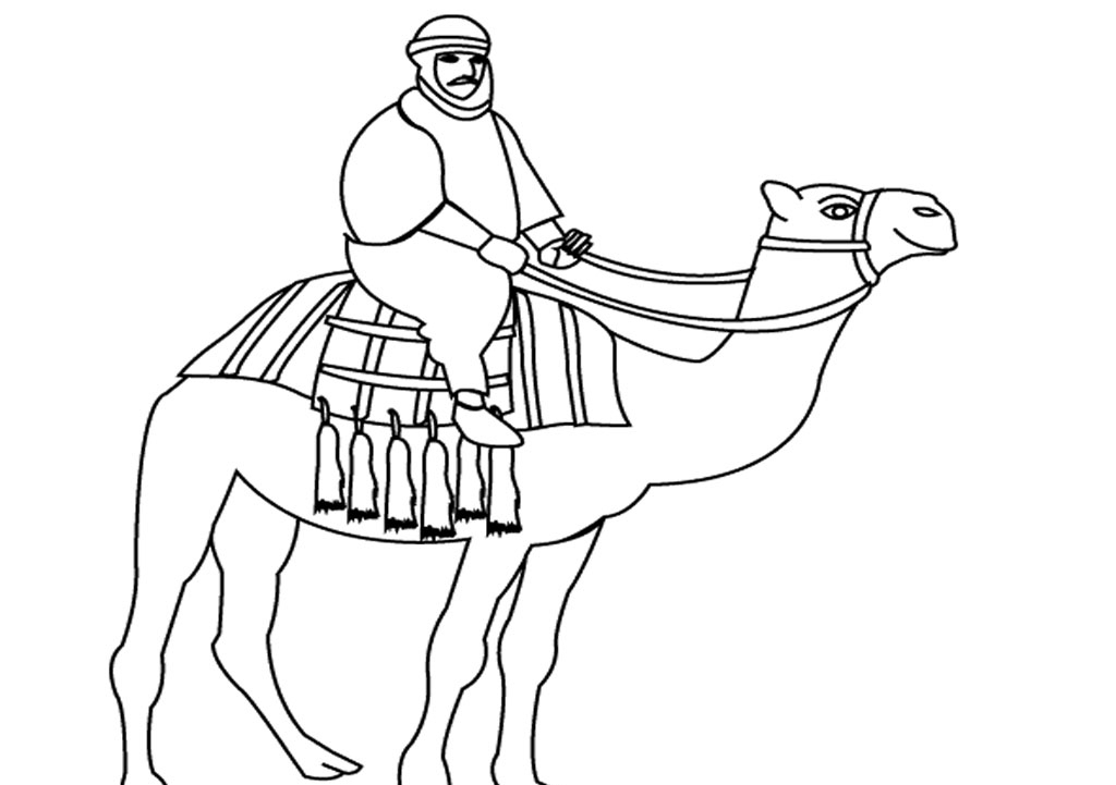 Coloring page: Dromedary (Animals) #6011 - Free Printable Coloring Pages