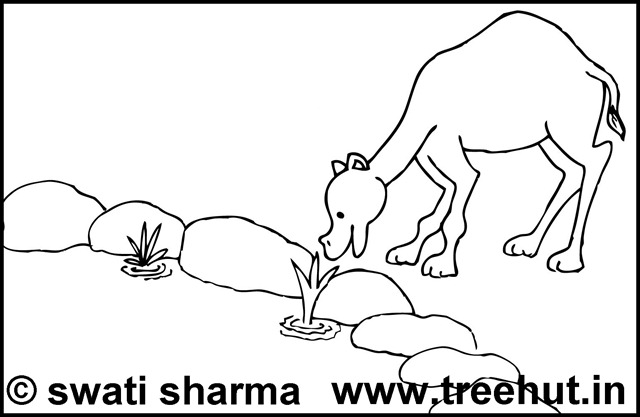 Coloring page: Dromedary (Animals) #6013 - Free Printable Coloring Pages