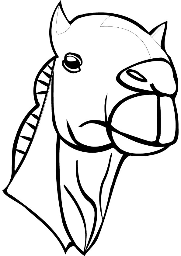 Coloring page: Dromedary (Animals) #6015 - Free Printable Coloring Pages