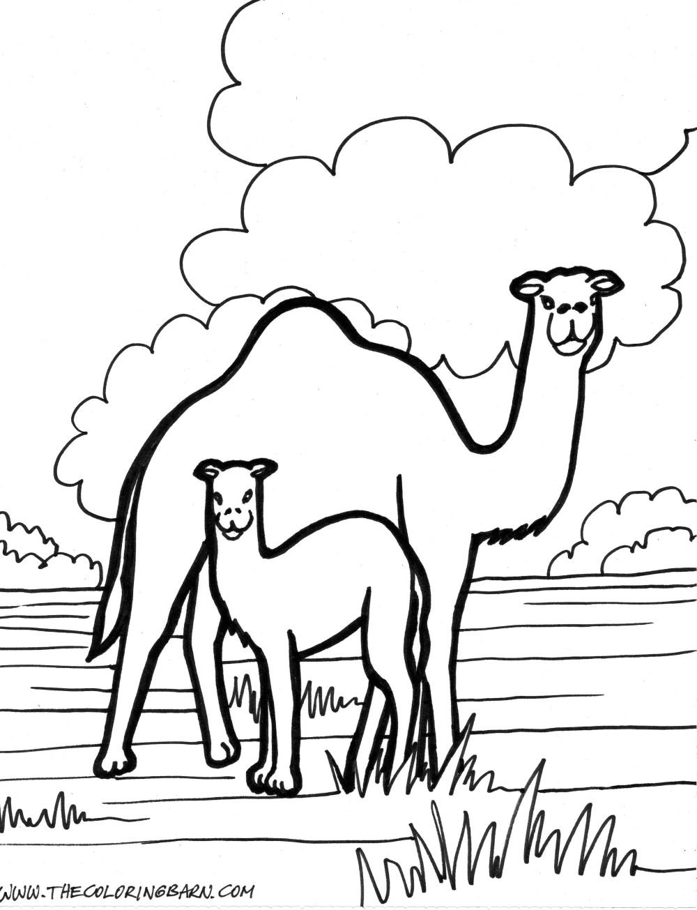 Coloring page: Dromedary (Animals) #6043 - Free Printable Coloring Pages