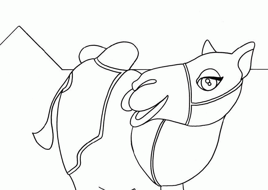 Coloring page: Dromedary (Animals) #6049 - Free Printable Coloring Pages