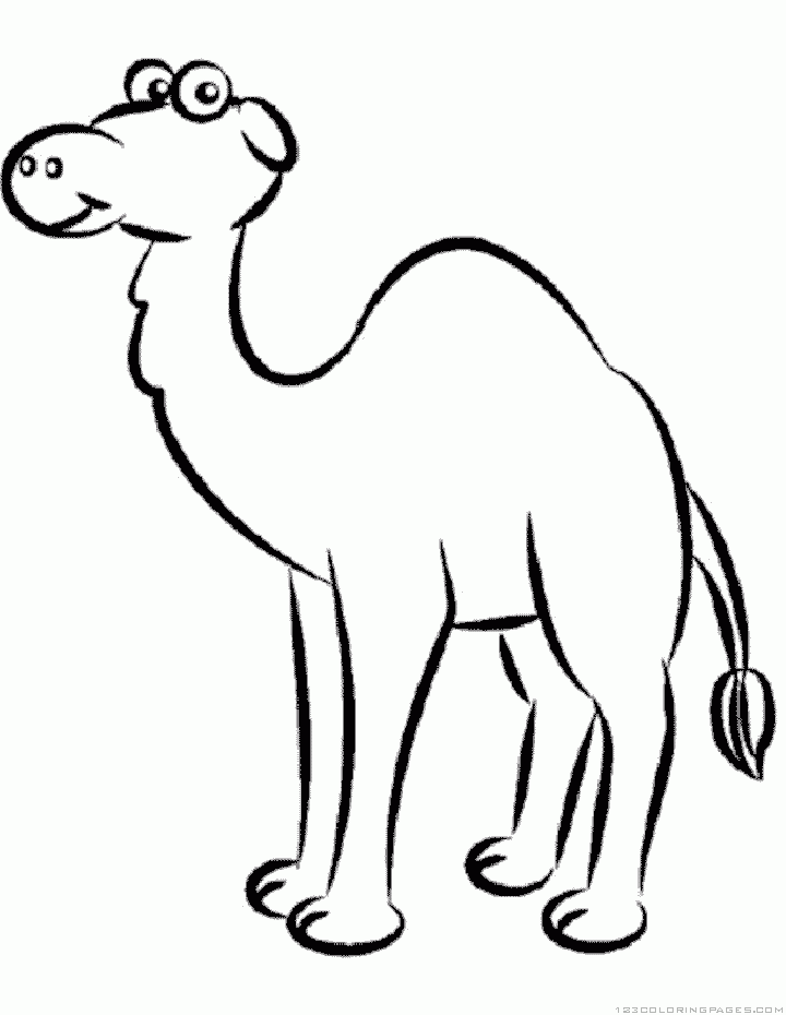 Coloring page: Dromedary (Animals) #6052 - Free Printable Coloring Pages