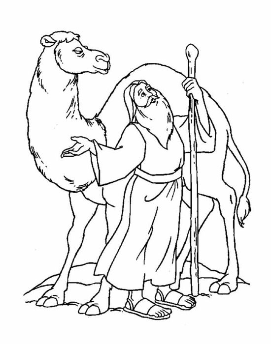 Coloring page: Dromedary (Animals) #6074 - Free Printable Coloring Pages