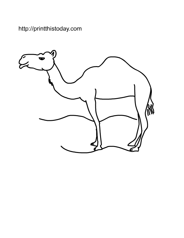 Coloring page: Dromedary (Animals) #6076 - Free Printable Coloring Pages