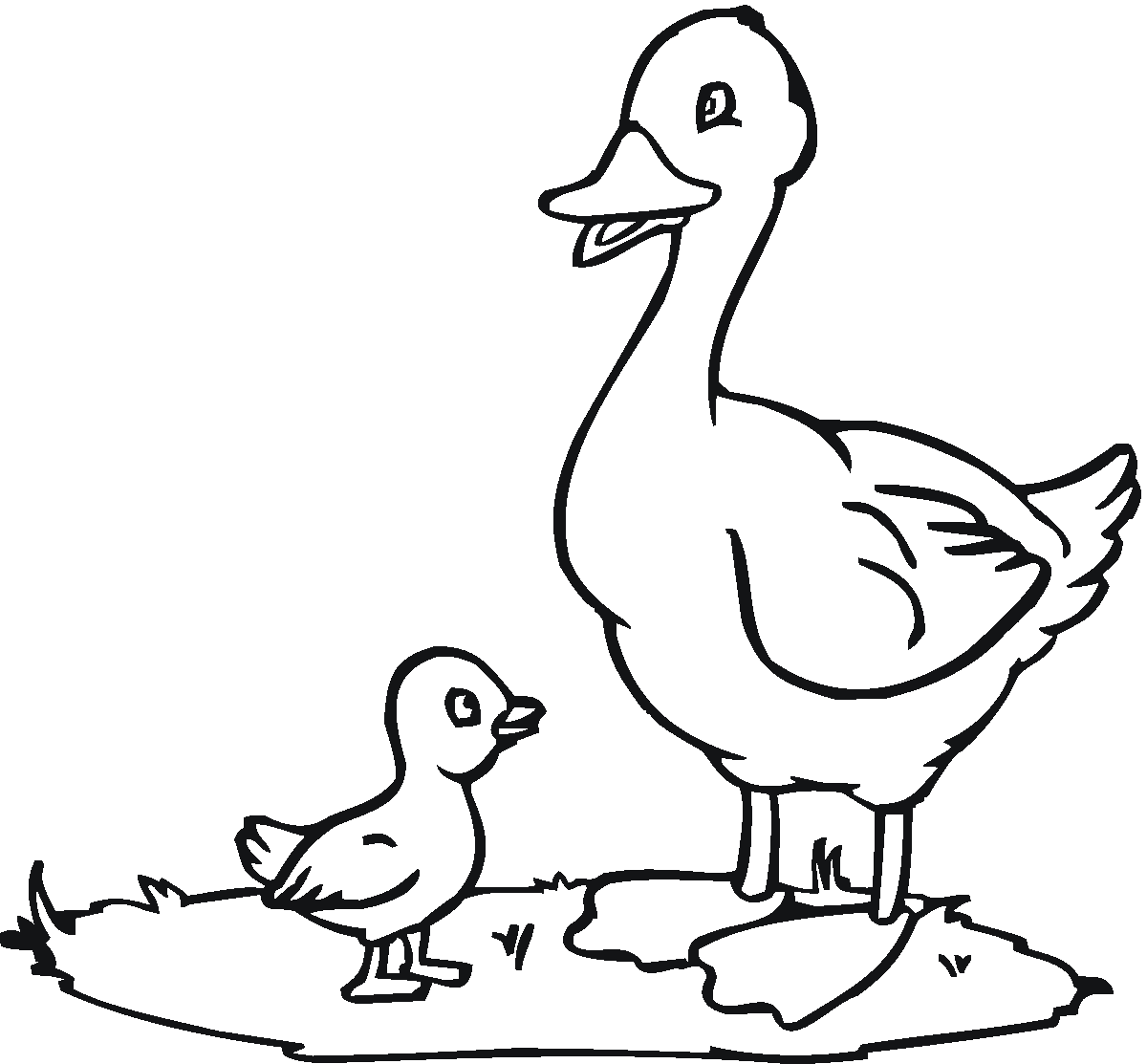 Coloring page: Duck (Animals) #1442 - Free Printable Coloring Pages