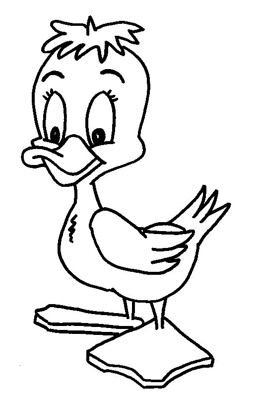 Coloring page: Duck (Animals) #1444 - Free Printable Coloring Pages