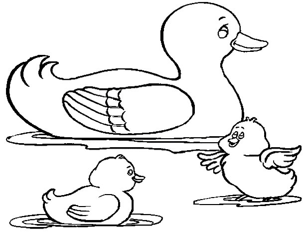 Coloring page: Duck (Animals) #1445 - Free Printable Coloring Pages