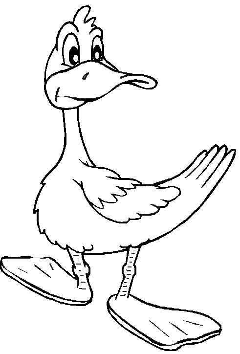Coloring page: Duck (Animals) #1460 - Free Printable Coloring Pages