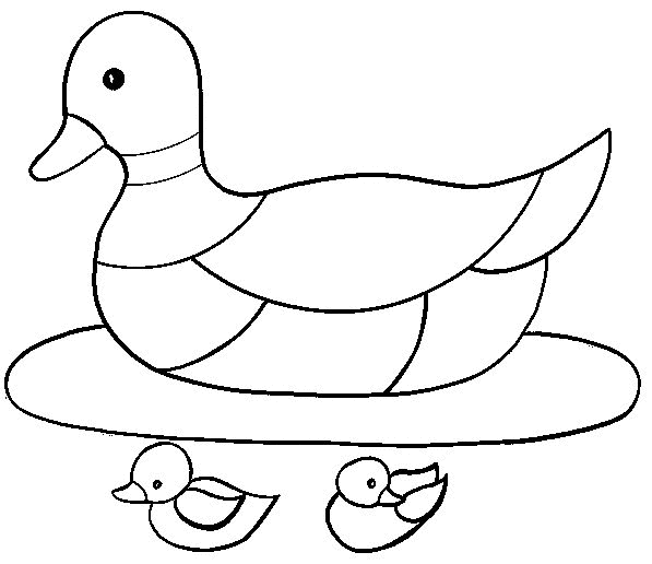 Coloring page: Duck (Animals) #1477 - Free Printable Coloring Pages