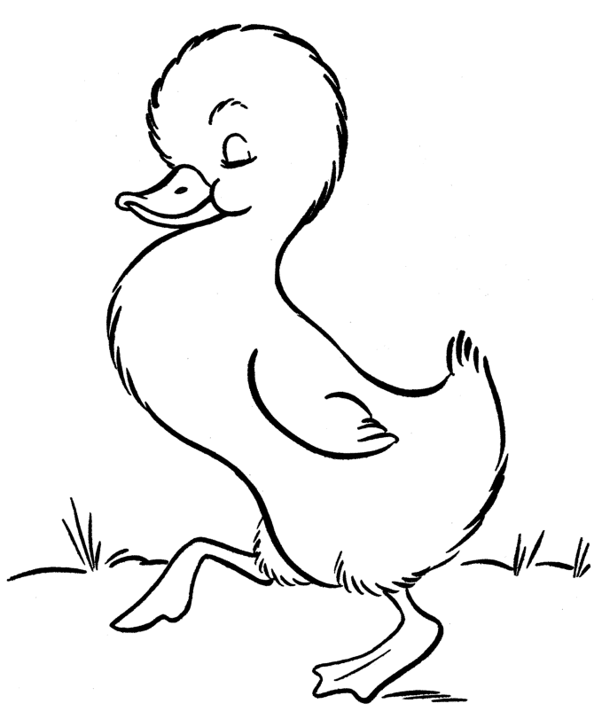 Coloring page: Duck (Animals) #1479 - Free Printable Coloring Pages
