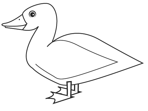 Coloring page: Duck (Animals) #1492 - Free Printable Coloring Pages