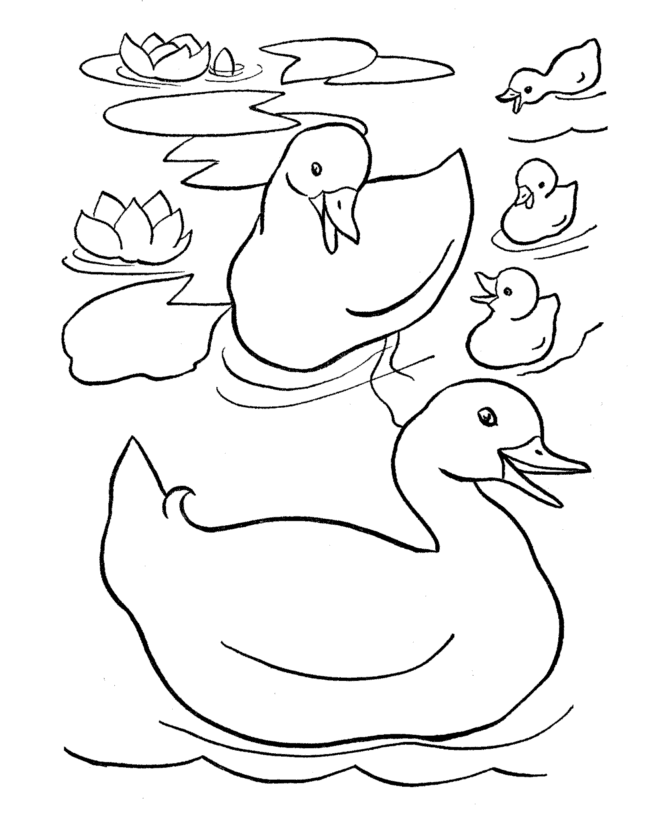 Coloring page: Duck (Animals) #1494 - Free Printable Coloring Pages
