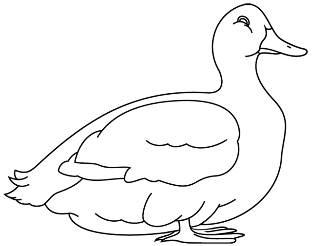 Coloring page: Duck (Animals) #1503 - Free Printable Coloring Pages