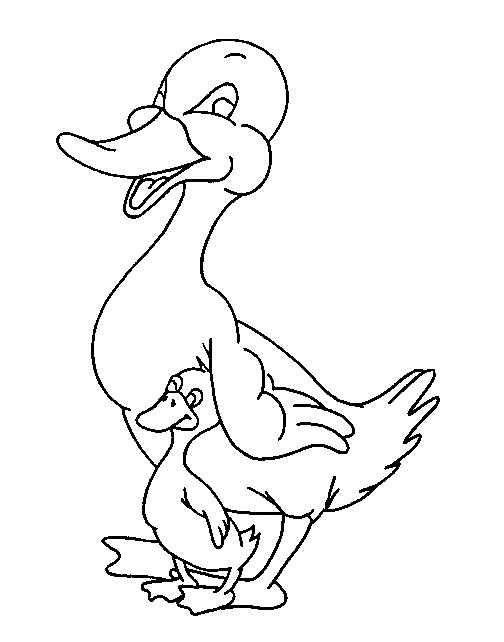 Coloring page: Duck (Animals) #1510 - Free Printable Coloring Pages