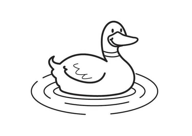 Coloring page: Duck (Animals) #1515 - Free Printable Coloring Pages