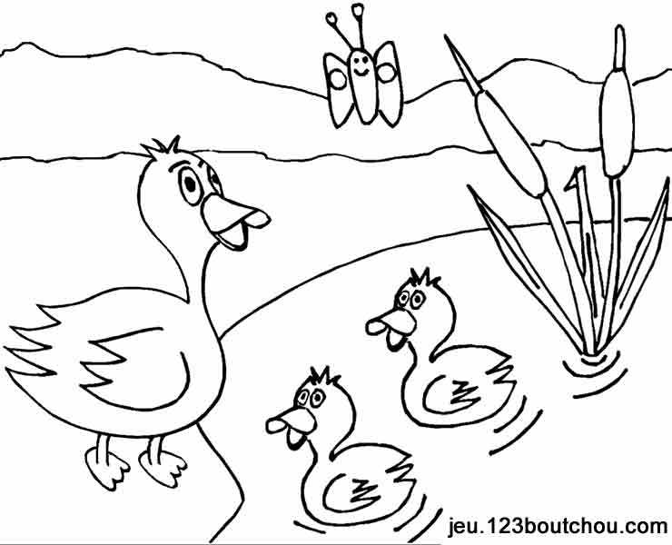 Coloring page: Duck (Animals) #1517 - Free Printable Coloring Pages