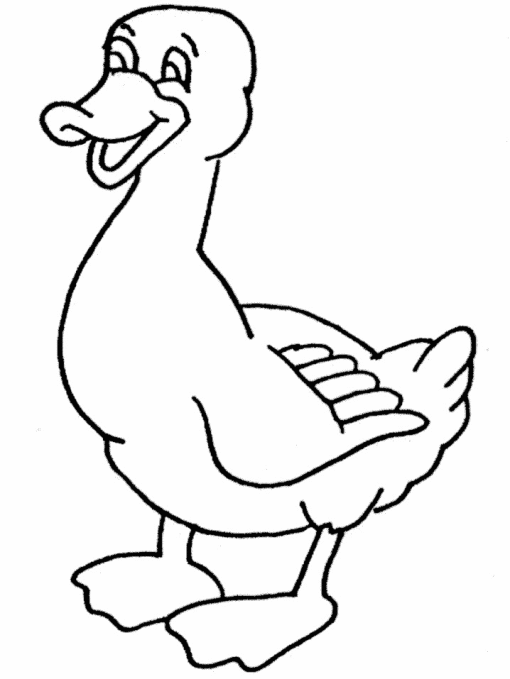 Coloring page: Duck (Animals) #1524 - Free Printable Coloring Pages