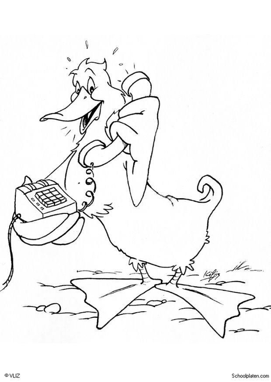 Coloring page: Duck (Animals) #1526 - Free Printable Coloring Pages