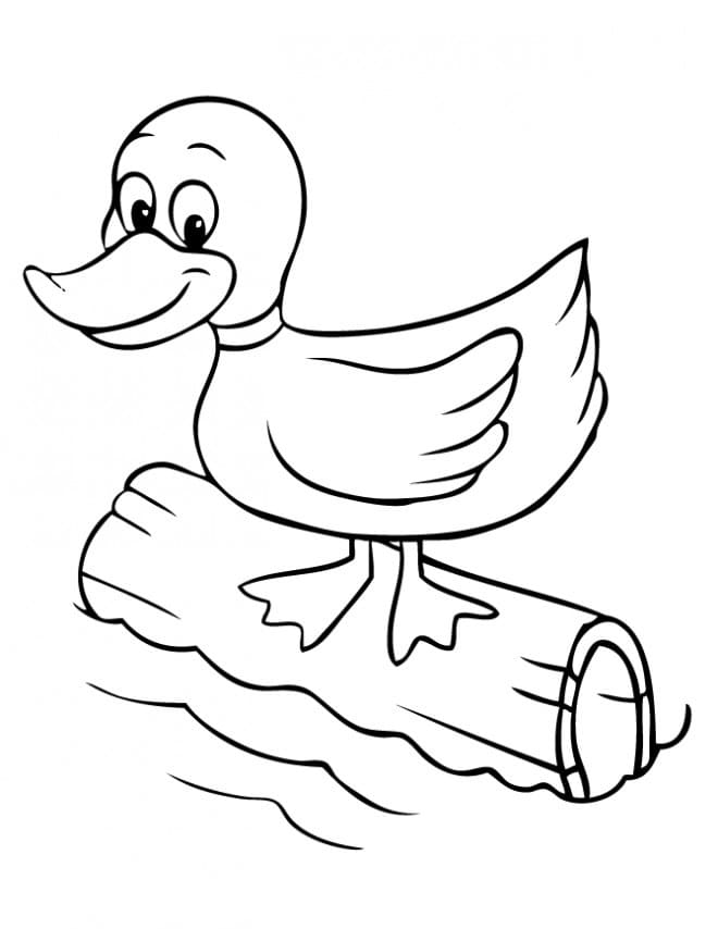 Free printable Duck coloring page #185478 from Animals collection