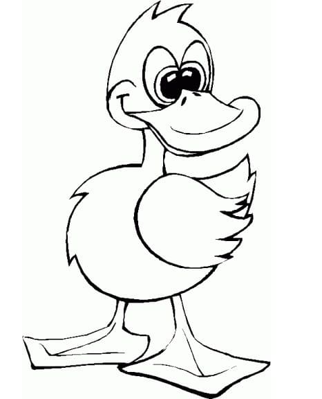 Free printable Duck coloring page #185488 from Animals collection Free printable Duck coloring page #185488 from Animals collection