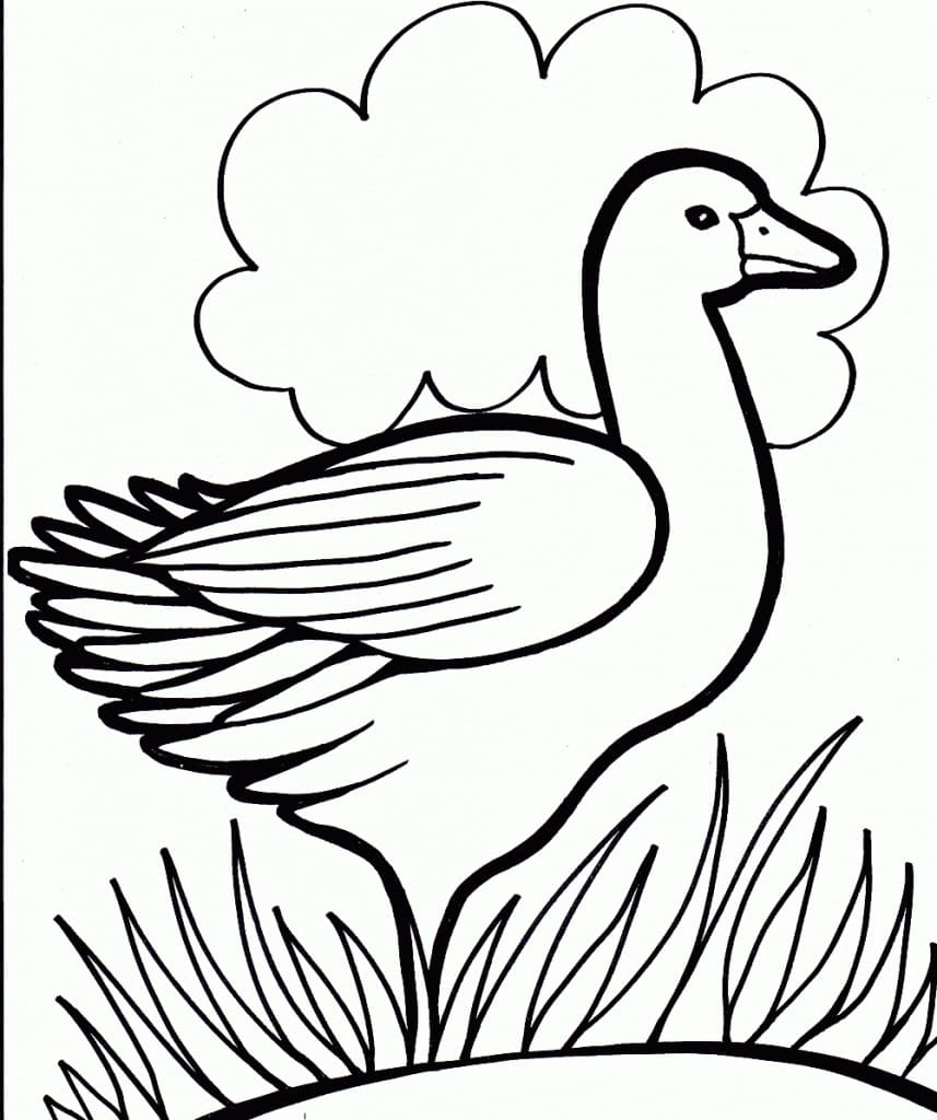 Free printable Duck coloring page #185494 from Animals collection