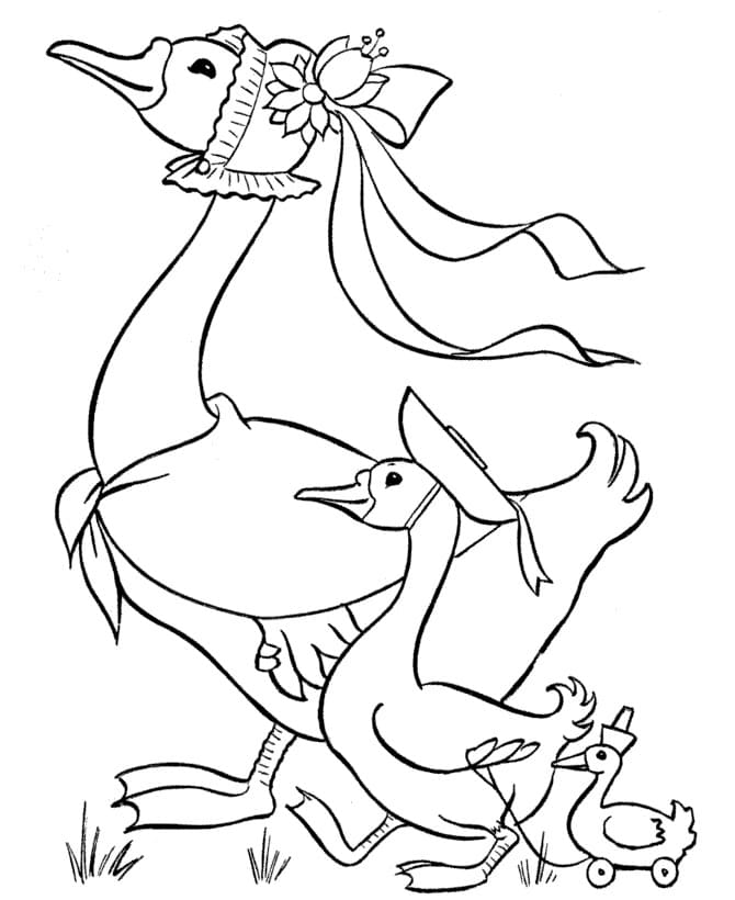 Free printable Duck coloring page #185500 from Animals collection Free printable Duck coloring page #185500 from Animals collection